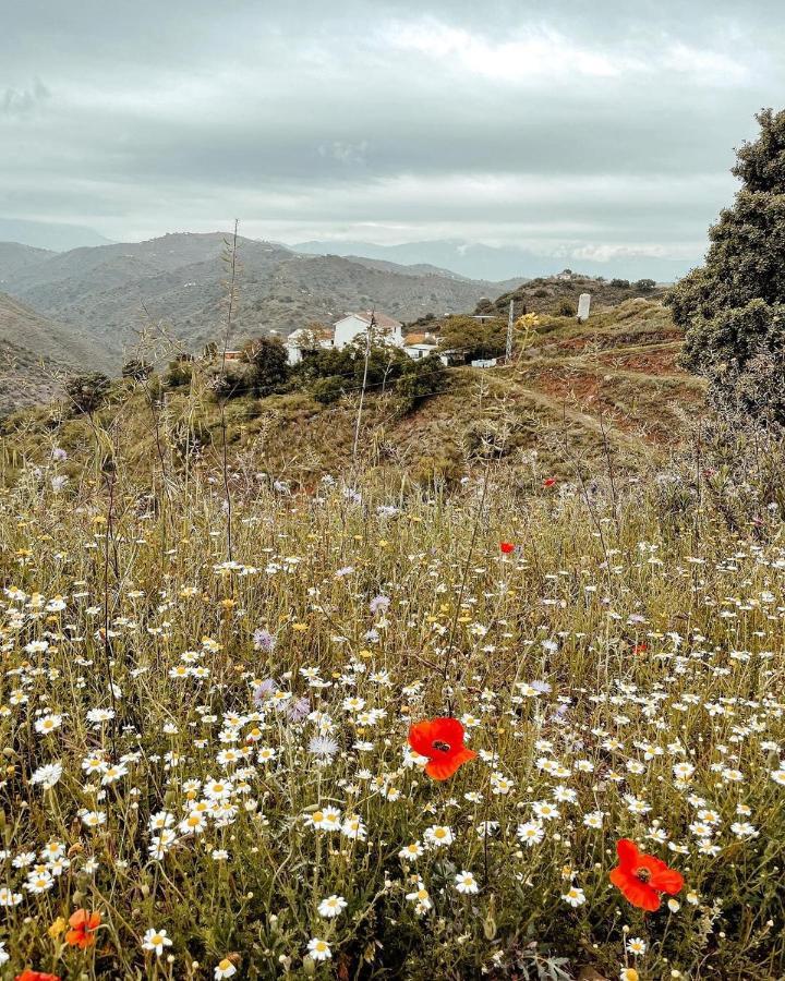 Finca Serrato コルメナル エクステリア 写真