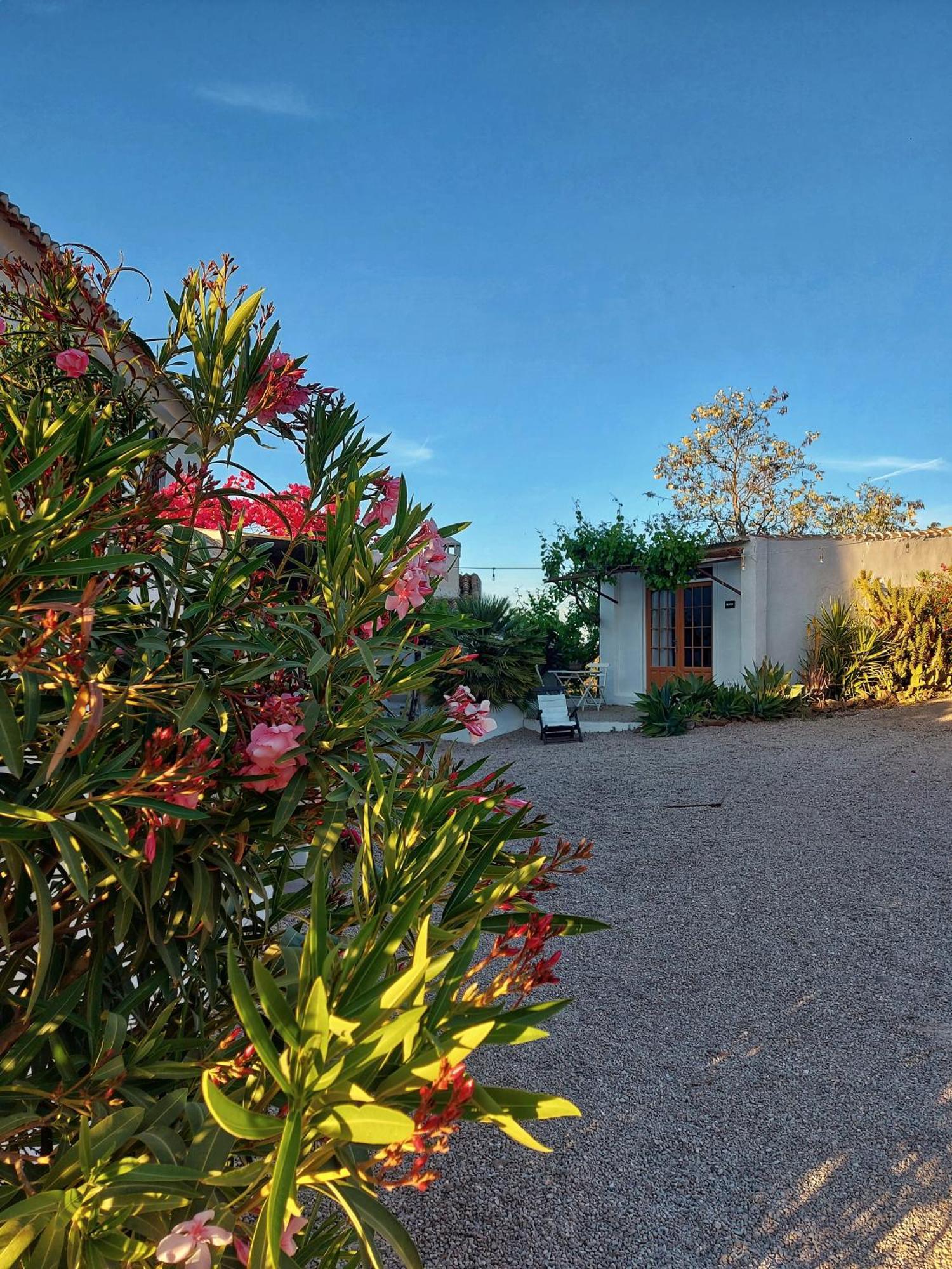 Finca Serrato コルメナル エクステリア 写真