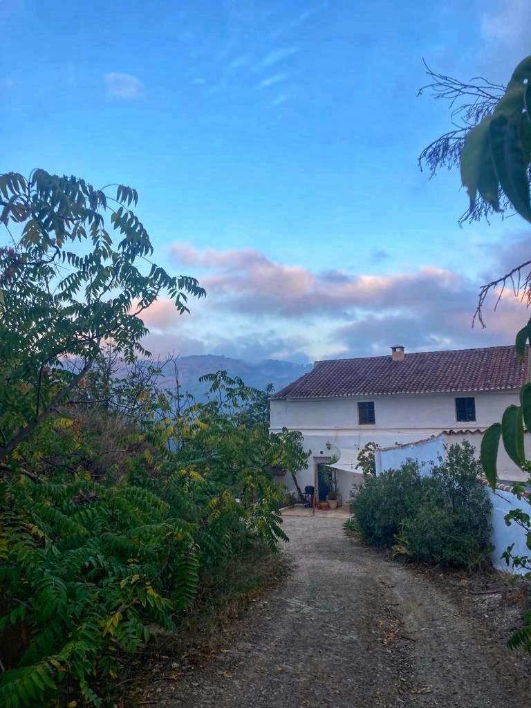 Finca Serrato コルメナル エクステリア 写真